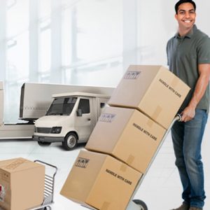 packers and movers